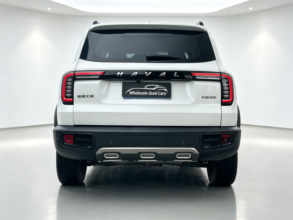 Haval Big Dog 2022 1.5T DCT 2WD Border Collie Edition