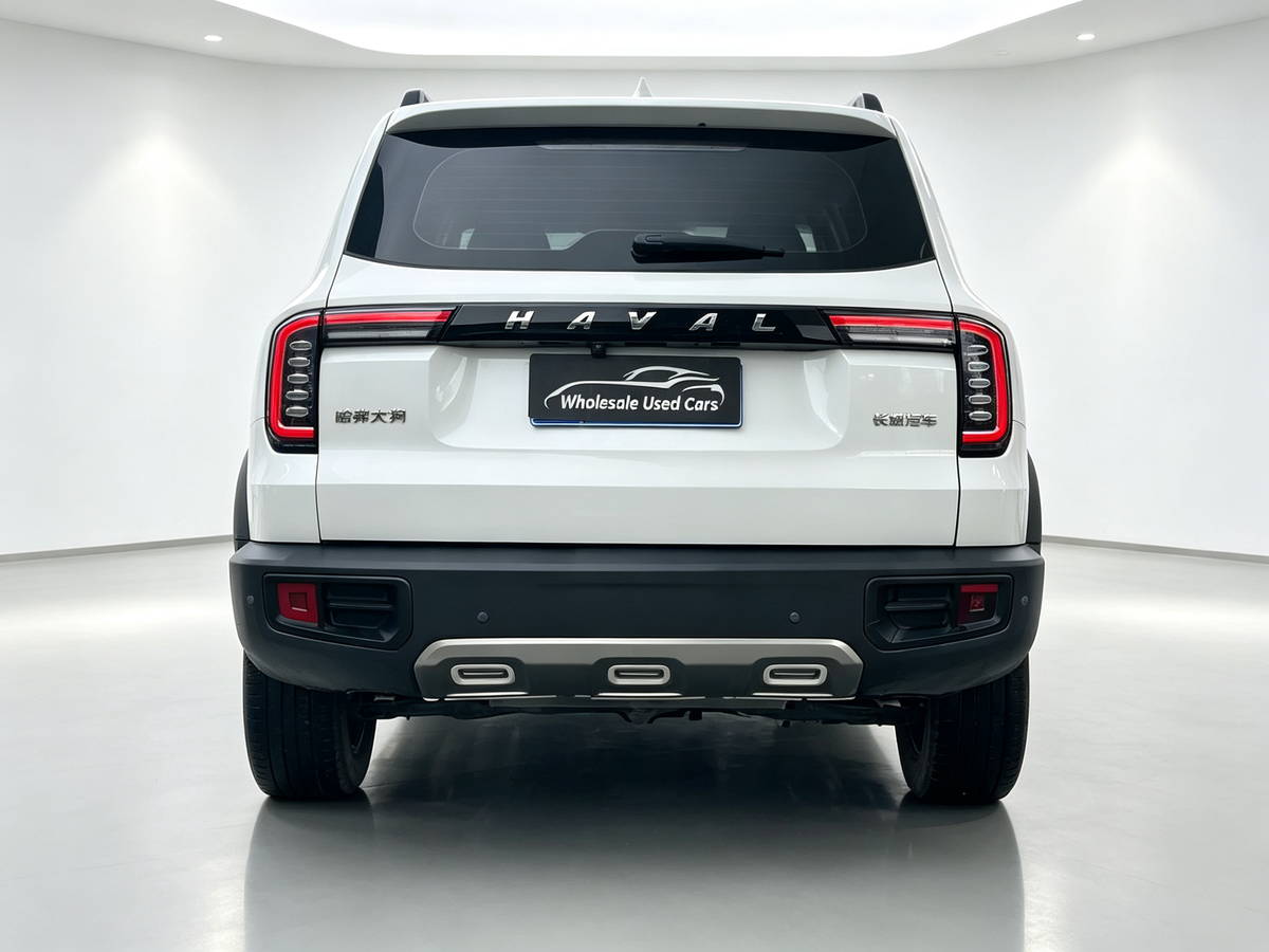 Haval Big Dog 2022 1.5T DCT 2WD Border Collie Edition