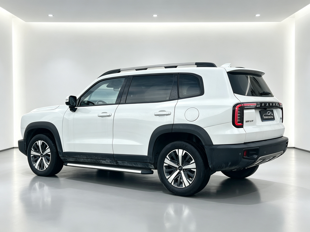 Haval Big Dog 2022 1.5T DCT 2WD Border Collie Edition