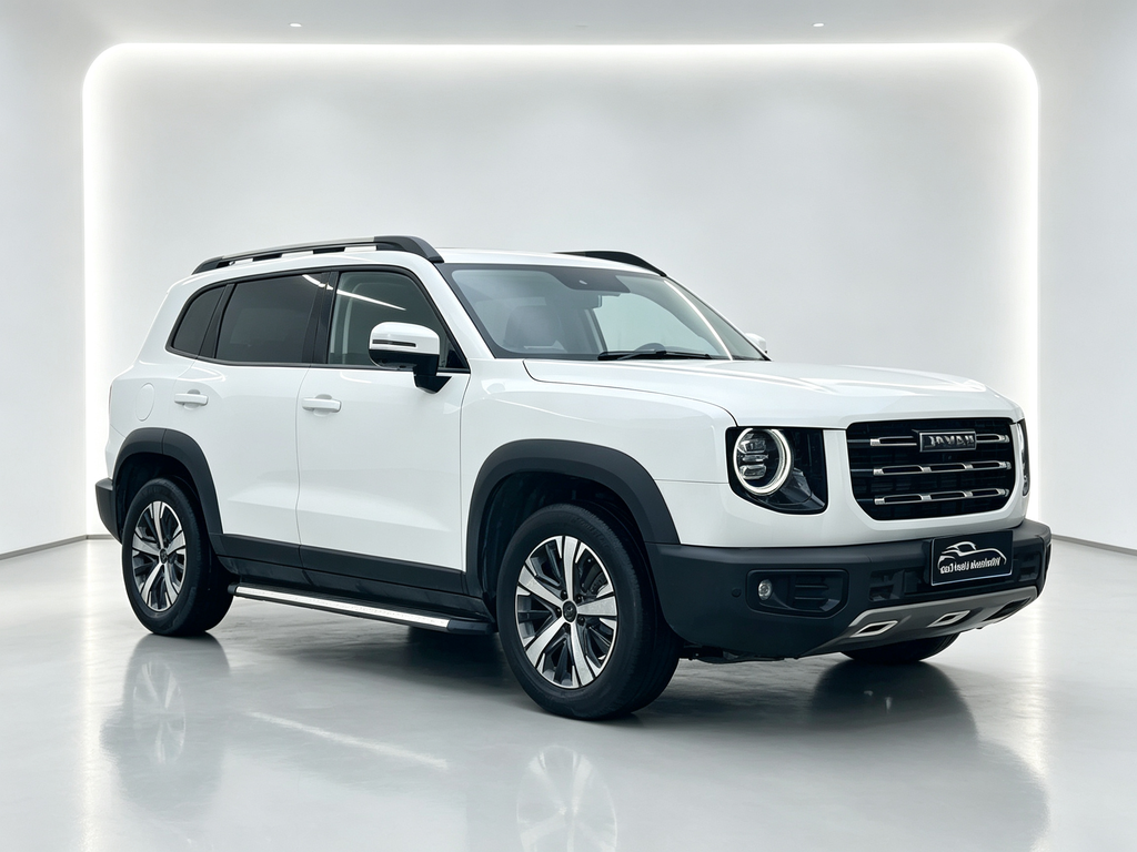 Haval Big Dog 2022 1.5T DCT 2WD Border Collie Edition