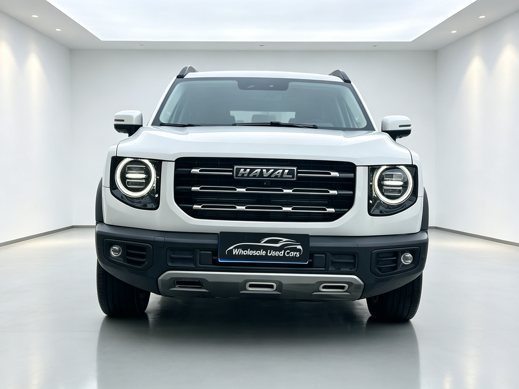 Haval Big Dog 2022 1.5T DCT 2WD Border Collie Edition