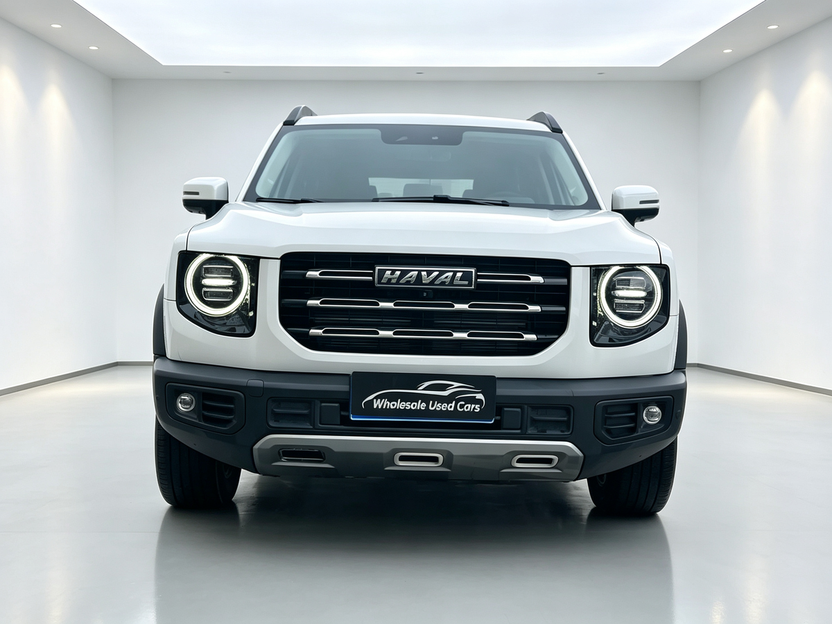 Haval Big Dog 2022 1.5T DCT 2WD Border Collie Edition